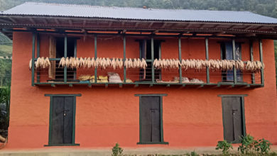 Photo of दशैपर्वका अवसरमा लिपपोत गरी सिंगारिएको घर