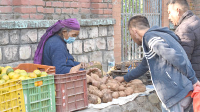 Photo of एकादशी पर्वलाई तरुल र सखरखण्ड