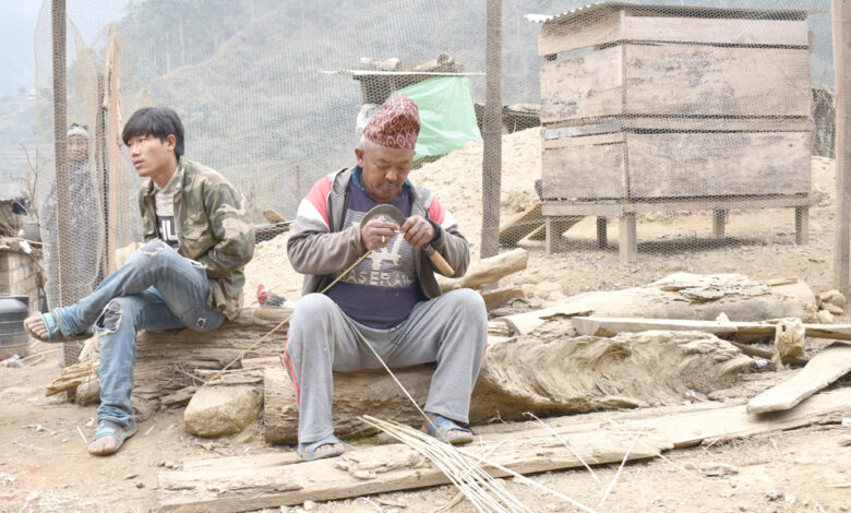 Photo of बासको चोया काट्दै