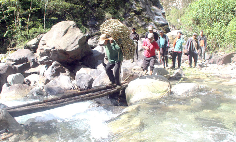 Photo of भीर मौरीको मह काढ्न जाँदै युवा