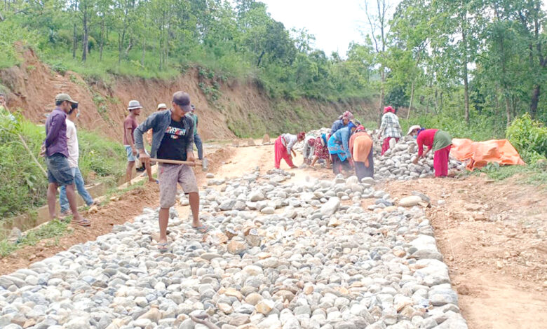 Photo of सडक स्तरोन्नति कार्यमा श्रमदान