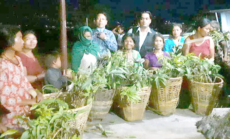 Photo of चेपाङ समुदायलाई फलफूलका विरुवा
