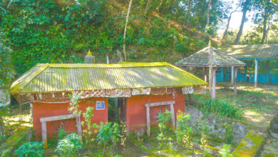 Photo of भगवतीपानी मन्दिर