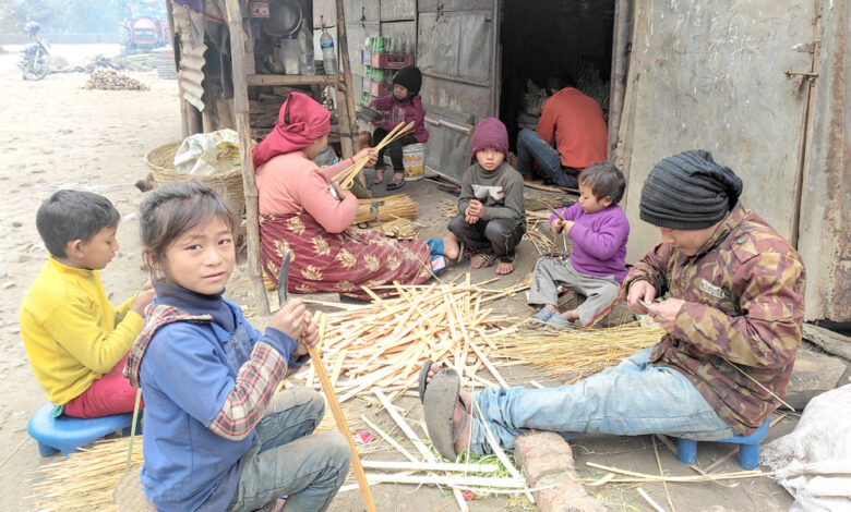 Photo of अभिभावकसंगै काम गर्दै बालबालिका