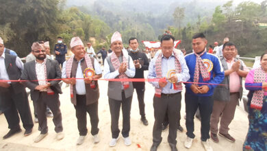 Photo of तनहुँको भिमाद-३ स्थित बुडुवाखोलामा पक्की पुल निर्माण