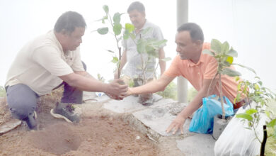 Photo of बन्दिपुरको थानीमाई डाँडामा वृक्षारोपण