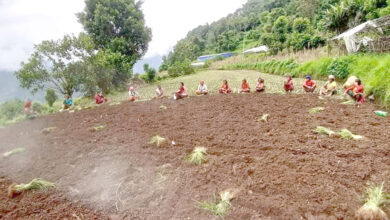 Photo of किसानलाई कोदोको विऊ रोप्न चटारो