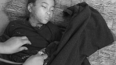 Photo of साथी भेट्न जाँदै गर्दा चितुवाले आक्रमणगर्दा बालिकाको ज्यान गयो