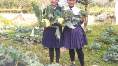 Photo of काउली देखाउँदै विद्यार्थी