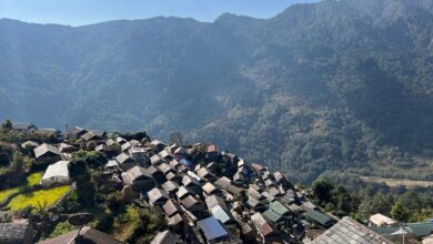 Photo of भुजुङमा हनि हन्टिङ, अहिलेसम्मकै ठूलो समुहद्वारा अवलोकन