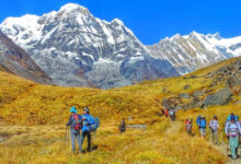 Photo of एक महिनामा ४८ हजार पर्यटक अन्नपूर्ण क्षेत्रमा भित्रिए