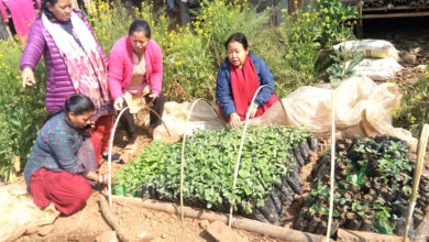 Photo of तरकारी खेती अनुगमन