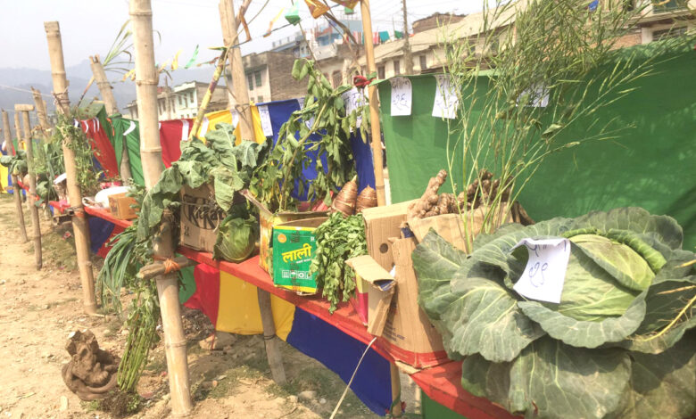 Photo of कृषि प्रदर्शनी