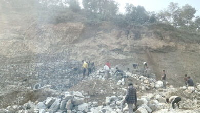 Photo of ग्याविन जाली भर्दै