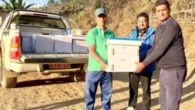 Photo of कृषकलाई मौरी घार