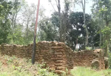 Photo of ‘भानु साहित्य उद्यान’को पूर्वाधार निर्माणका लागि २४ करोड बजेट विनियोजन