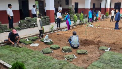 Photo of कार्यालय परिसरमा हरियाली