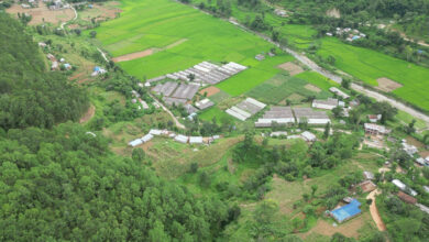 Photo of राजधानीका पाँचतारे होटलमा पाँचखालको मासु र तरकारी