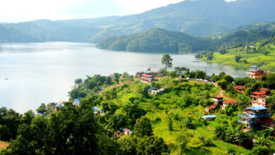 Photo of माझीकुना