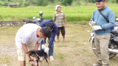 Photo of कुकुर विरालुलाई रेबिज बिरुद्धको खोप