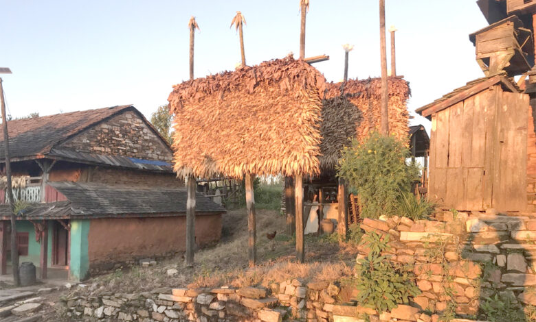 Photo of सुलीमा मकै भण्डारण