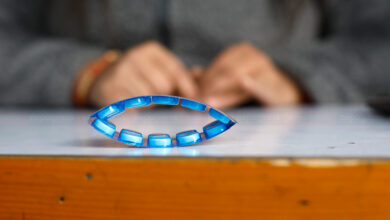 Photo of दमौलीस्थित दुई मेडिकल हलका सञ्चालक जरिवाना रकम तिरेर रिहा