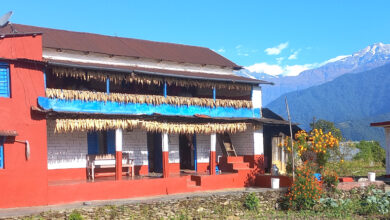 Photo of मकैको झुत्ती