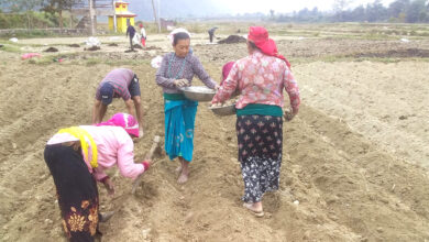 Photo of सहकारीको सामुहिक आलुखेती