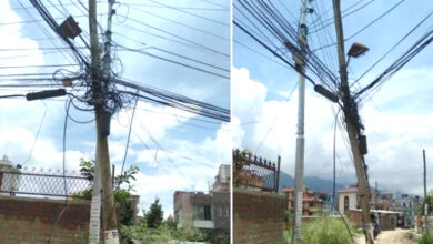 Photo of तीस हजार काठका विद्युत खम्बा विस्थापन