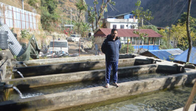 Photo of राजनीतिसँगै व्यावसायिक माछापालनमा रमाउँदै गुरुङ