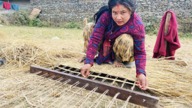 Photo of परालको गुन्द्री