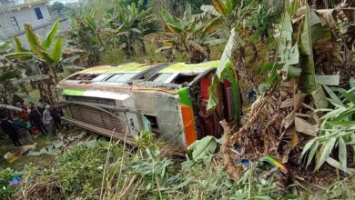 Photo of दमौली-भोर्लेटारभित्री सडकमा बस पल्टिदा १५ जना घाइते