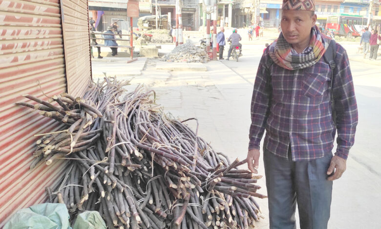 Photo of महाशिवरात्रि पर्वका लागि उखु