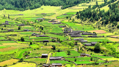 Photo of ग्रामीण जनजीवनलाई जीवित राखेका बागलुङको दिजगाउँ