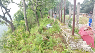 Photo of बन्दीपुरमा वृक्षारोपण अभियान