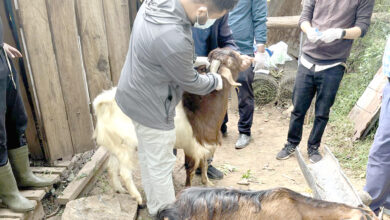 Photo of कृषकको घरगोठमै सेवा