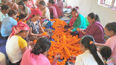 Photo of सम्पादकीय : सयपत्री फूलमा आत्मनिर्भरता उद्यमशीलताको सम्भावना