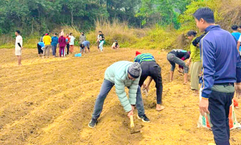 Photo of विद्यार्थीको आलुखेती