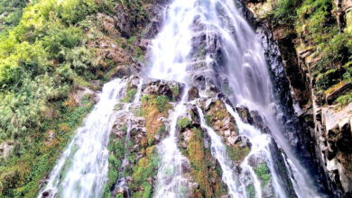 Photo of अक्टोपस झरना