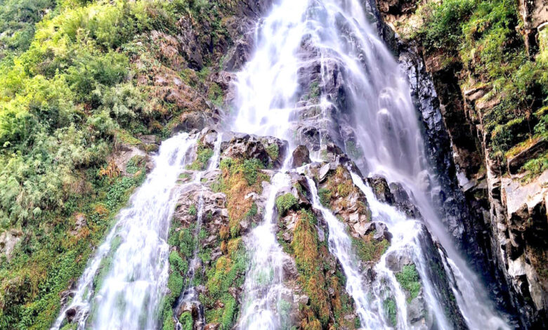 Photo of अक्टोपस झरना