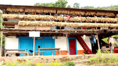 Photo of मकैको भण्डारण