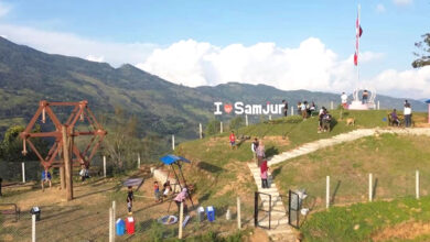 Photo of “चिल्ड्रेन पार्क” आन्तरिक पर्यटकको रोजाइमा