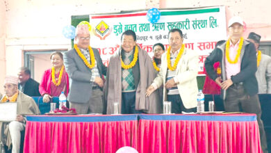 Photo of डुम्रे बचत तथा ऋण सहकारीको अध्यक्षमा पिया