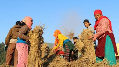 Photo of सामुदायिक वनको समूहिक धानखेती : विपन्न घरपरिवारलाई जिविकोपार्जनमा सहज