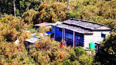 Photo of बाँसखर्क अर्थात् सुन्तलाखर्क : पाखैभरि पहेँलपुर सुन्तला