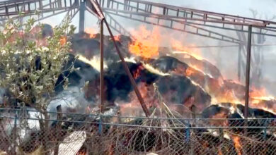 Photo of शुक्लागण्डकीको गौ संरक्षण केन्द्रमा आगलागी