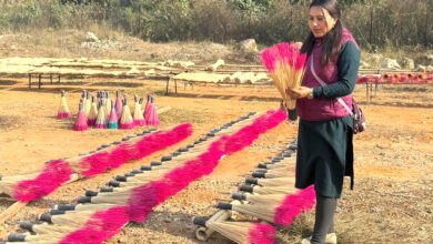 Photo of बासको कुचो