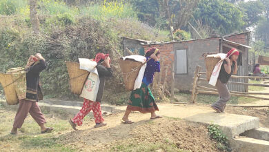 Photo of मकै खेतीका लागि मल