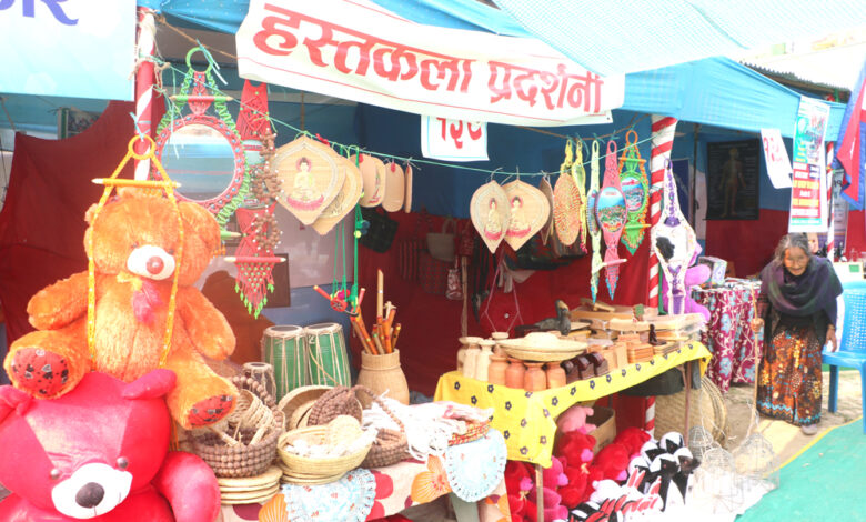 Photo of महोत्सवमा हस्तकला प्रदर्शनी
