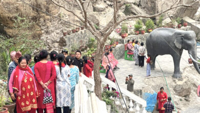 Photo of ऐनापहरा पार्क (उद्यान)मा आन्तरिक पर्यटक